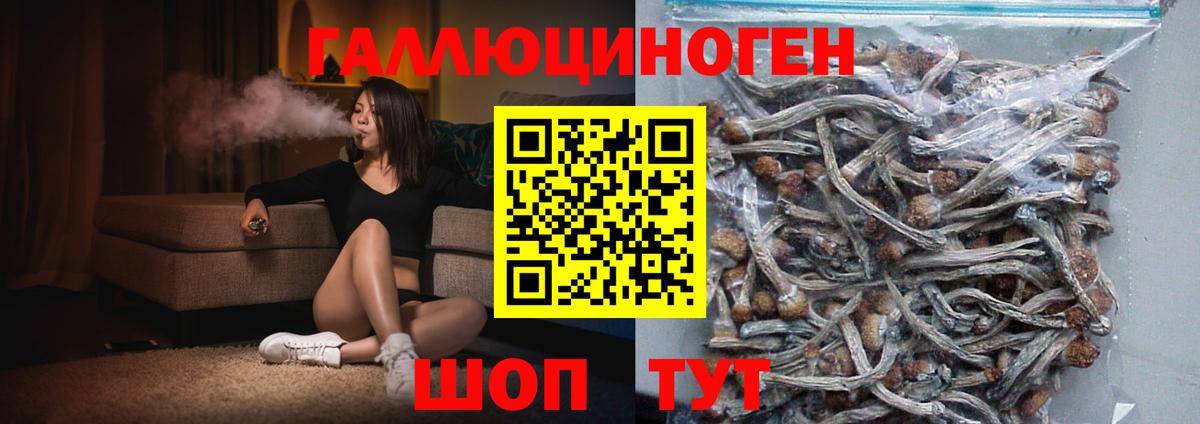 Галлюциногенные грибы GOLDEN TEACHER Сызрань